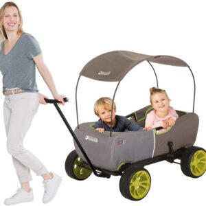 Hauck Eco Mobile Transportwagen für 2 Kinder klappbar 50 kg Sonnendach